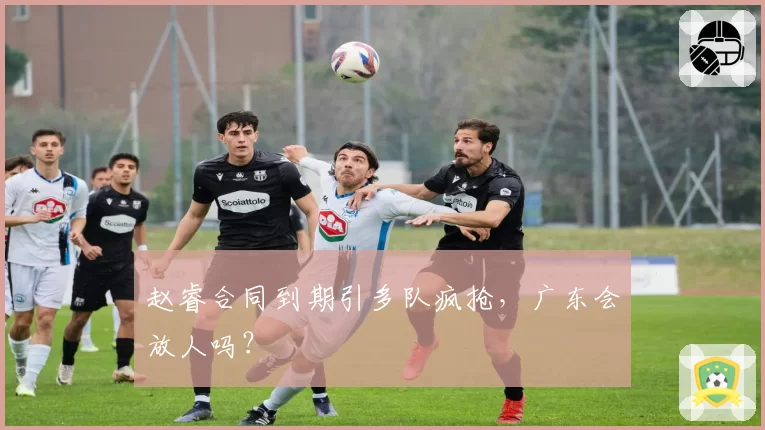 赵睿合同到期引多队疯抢,广东会放人吗?